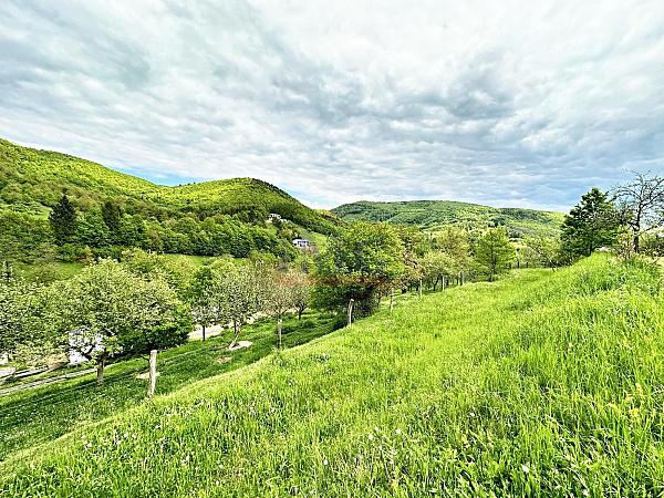 Pozemok s krásnym výhľadom v lokalite tajch Nová Baňa (Žarnovica)